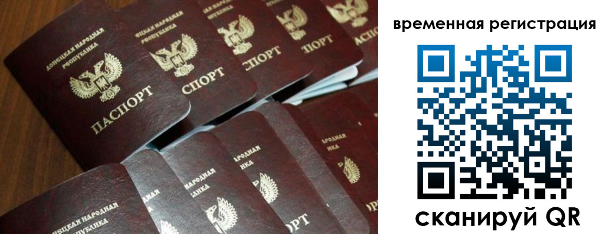 прописка ребенка в Коле